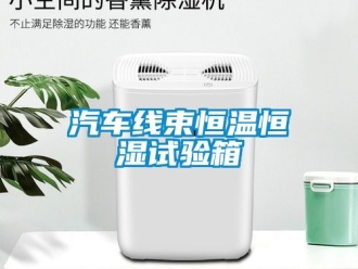 知識(shí)百科汽車線束恒溫恒濕試驗(yàn)箱