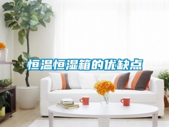 知識百科恒溫恒濕箱的優缺點