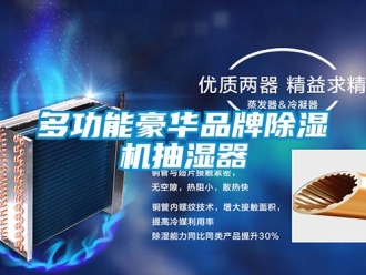 企業新聞多功能豪華品牌除濕機抽濕器