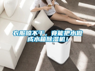 行業新聞衣服晾不干，竟能把水做成水箱除濕機！