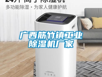 企業(yè)新聞廣西筋竹鎮(zhèn)工業(yè)除濕機(jī)廠家