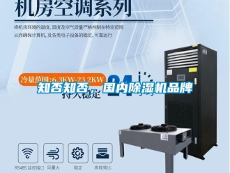 知識百科知否知否，國內除濕機品牌