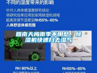 行業新聞回南天梅雨季不用愁，除濕機快速掃去濕氣