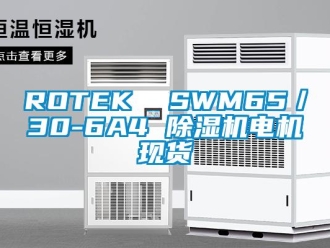 企業(yè)新聞ROTEK  SWM65／30-6A4 除濕機(jī)電機(jī)現(xiàn)貨