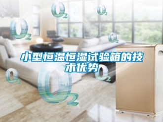 知識百科小型恒溫恒濕試驗箱的技術優勢