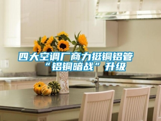 知識(shí)百科四大空調(diào)廠商力挺銅鋁管“鋁銅暗戰(zhàn)”升級(jí)