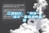 紅酒知識：“陰暗”、“濕冷”葡萄酒的最愛