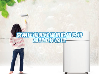 企業(yè)新聞常用壓縮機(jī)除濕機(jī)的結(jié)構(gòu)特點(diǎn)和工作原理