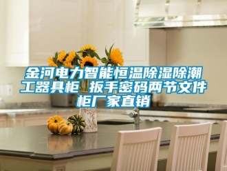 知識百科金河電力智能恒溫除濕除潮工器具柜 扳手密碼兩節(jié)文件柜廠家直銷
