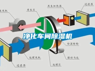 企業(yè)新聞凈化車間除濕機