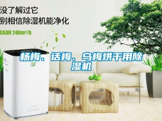 知識百科楊梅、話梅、烏梅烘干用除濕機