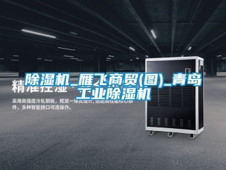 常見問題除濕機(jī)_雁飛商貿(mào)(圖)_青島工業(yè)除濕機(jī)