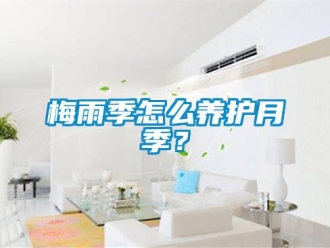 常見問題梅雨季怎么養護月季？