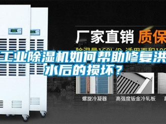 常見問題工業(yè)除濕機(jī)如何幫助修復(fù)洪水后的損壞？