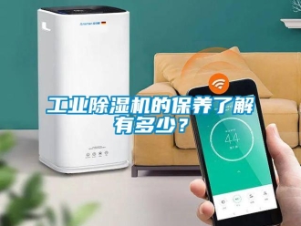 企業(yè)新聞工業(yè)除濕機(jī)的保養(yǎng)了解有多少？