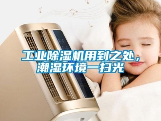企業(yè)新聞工業(yè)除濕機(jī)用到之處，潮濕環(huán)境一掃光