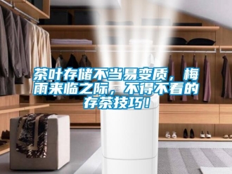 企業新聞茶葉存儲不當易變質，梅雨來臨之際，不得不看的存茶技巧！