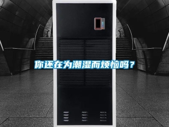 常見問題你還在為潮濕而煩惱嗎？