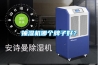 抽濕機哪個牌子好？