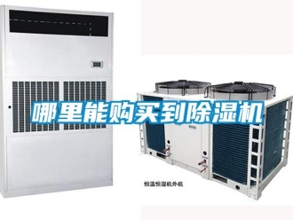 行業(yè)新聞哪里能購買到除濕機(jī)