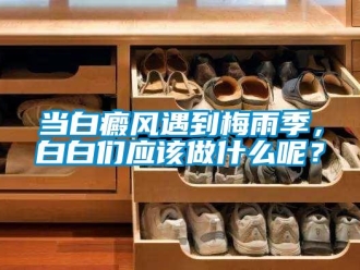 企業新聞當白癜風遇到梅雨季，白白們應該做什么呢？