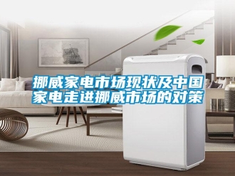 行業(yè)新聞挪威家電市場(chǎng)現(xiàn)狀及中國(guó)家電走進(jìn)挪威市場(chǎng)的對(duì)策