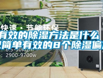 企業(yè)新聞最有效的除濕方法是什么 牢記簡(jiǎn)單有效的8個(gè)除濕偏方