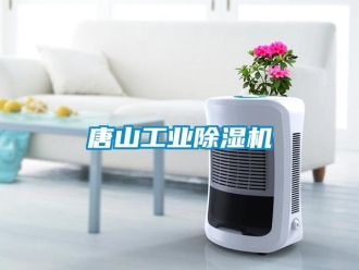 知識百科唐山工業(yè)除濕機(jī)