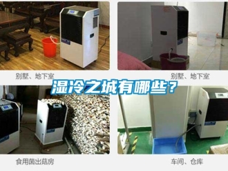 知識百科濕冷之城有哪些？