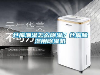 企業(yè)新聞倉庫潮濕怎么除濕？倉庫除濕用除濕機