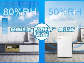 企業(yè)新聞分宜這條“風(fēng)光帶”美出新高度！