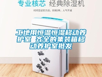 知識百科工地用恒溫恒濕移動養護室 齊全的集裝箱移動養護室批發