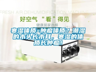 行業(yè)新聞寒濕體質(zhì)=腫瘤體質(zhì)？潮濕的木頭長木耳，寒濕的體質(zhì)長腫瘤！