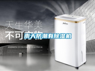 知識百科雨天防潮有除濕機