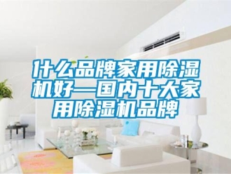 企業(yè)新聞什么品牌家用除濕機(jī)好—國內(nèi)十大家用除濕機(jī)品牌