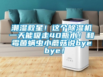 企業新聞潮濕救星！這個除濕機一天能吸走40瓶水！和霉菌螨蟲小蘑菇說bye bye！
