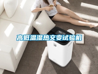 常見問題高低溫濕熱交變試驗(yàn)機(jī)