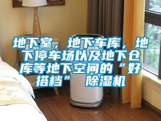 企業(yè)新聞地下室，地下車庫，地下停車場以及地下倉庫等地下空間的“好搭檔” 除濕機(jī)