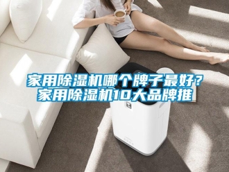 企業新聞家用除濕機哪個牌子最好？家用除濕機10大品牌推