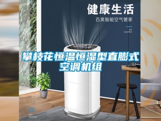 知識(shí)百科攀枝花恒溫恒濕型直膨式空調(diào)機(jī)組