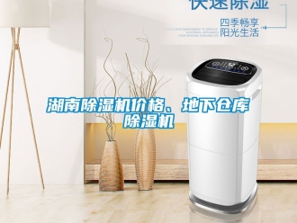 企業(yè)新聞湖南除濕機(jī)價(jià)格、地下倉(cāng)庫(kù)除濕機(jī)