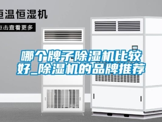 企業(yè)新聞哪個(gè)牌子除濕機(jī)比較好_除濕機(jī)的品牌推薦