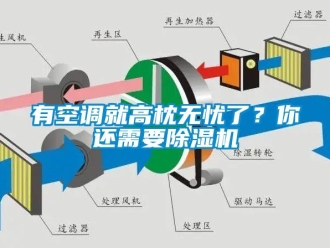 知識百科有空調(diào)就高枕無憂了？你還需要除濕機