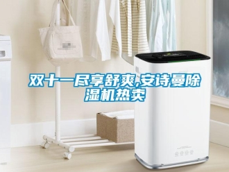 企業(yè)新聞雙十一盡享舒爽,安詩曼除濕機熱賣