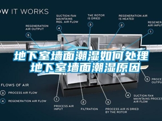 企業(yè)新聞地下室墻面潮濕如何處理 地下室墻面潮濕原因