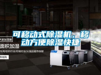 行業(yè)新聞可移動(dòng)式除濕機(jī)，移動(dòng)方便除濕快捷