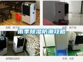 知識百科雨季除濕防潮攻略