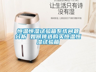 知識百科恒溫恒濕試驗(yàn)箱系統(tǒng)問題分析 如何挑選購買恒溫恒濕試驗(yàn)箱