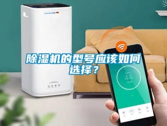 企業新聞除濕機的型號應該如何選擇？
