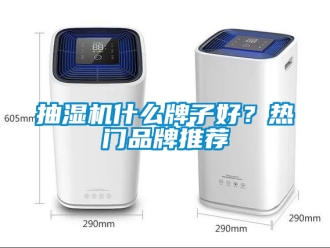 企業新聞抽濕機什么牌子好？熱門品牌推薦